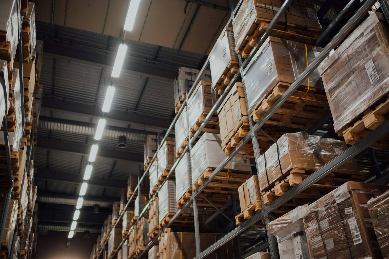 Inside an Icypeed warehouse, parcels organised on racks